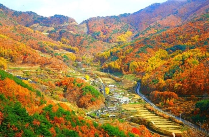 Autumn mountain