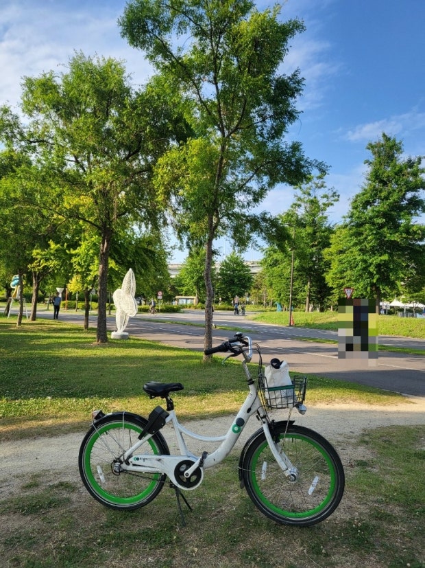 Mangwon Hangang Park bike