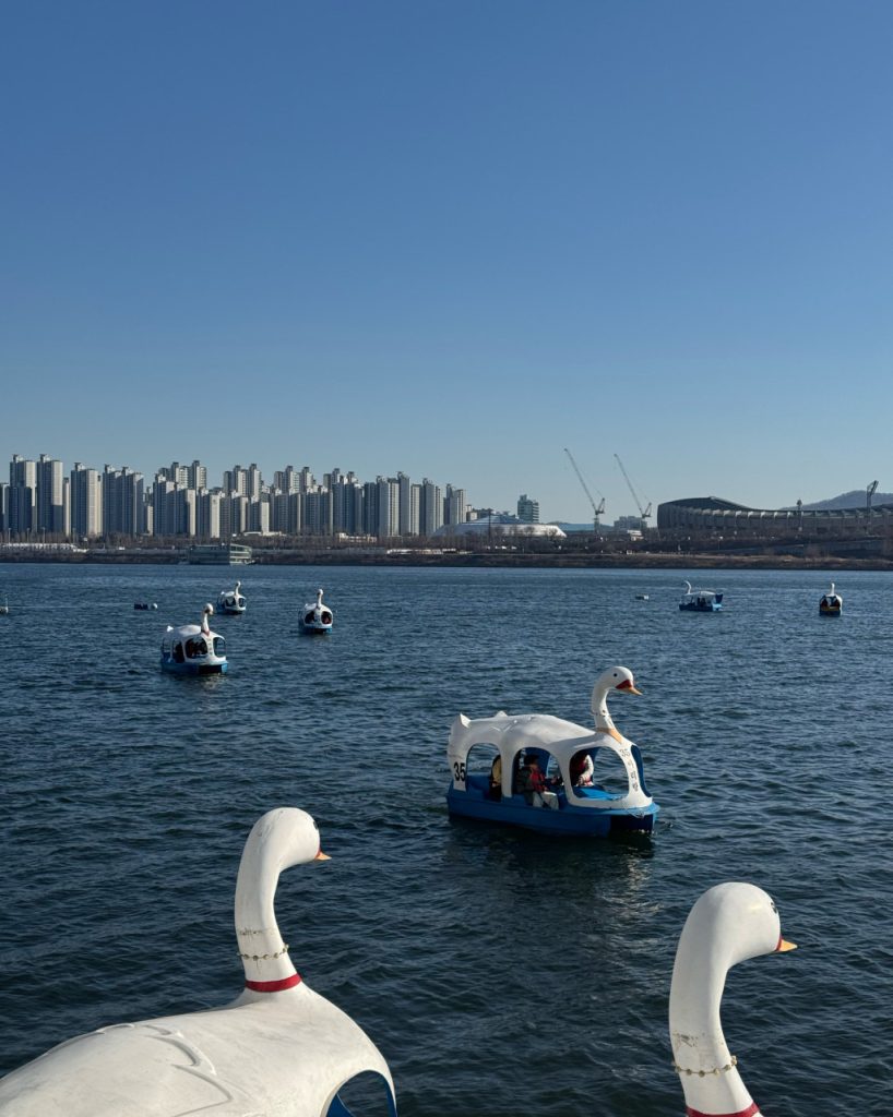 Ttukseom Hangang Park outdoor activities