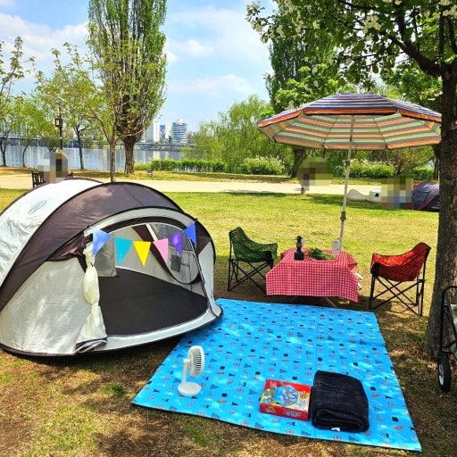 Yeouido Hangang Park picnic
