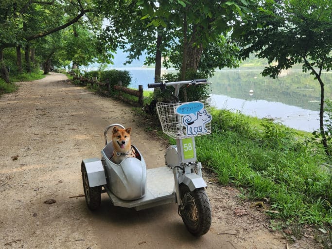 Nami Island bike