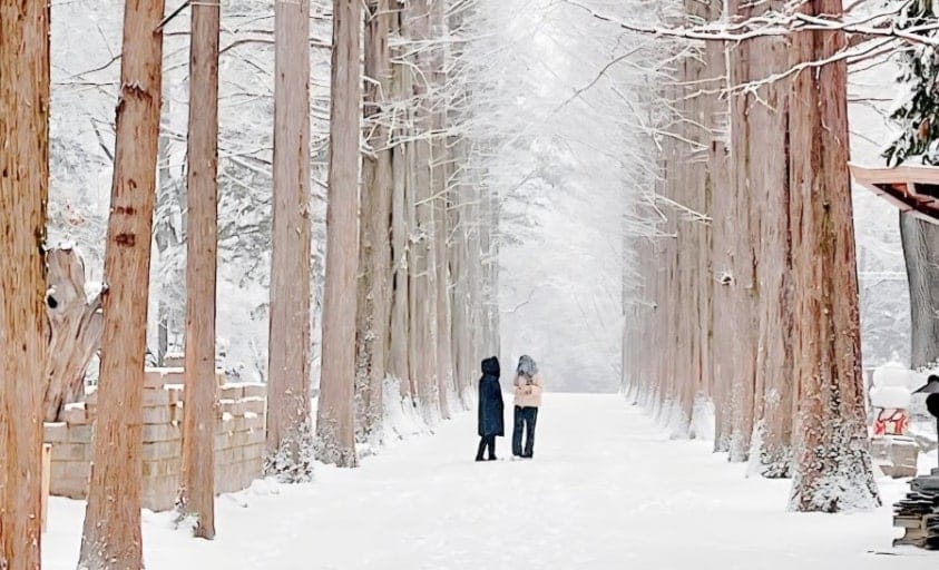 Nami Island winter