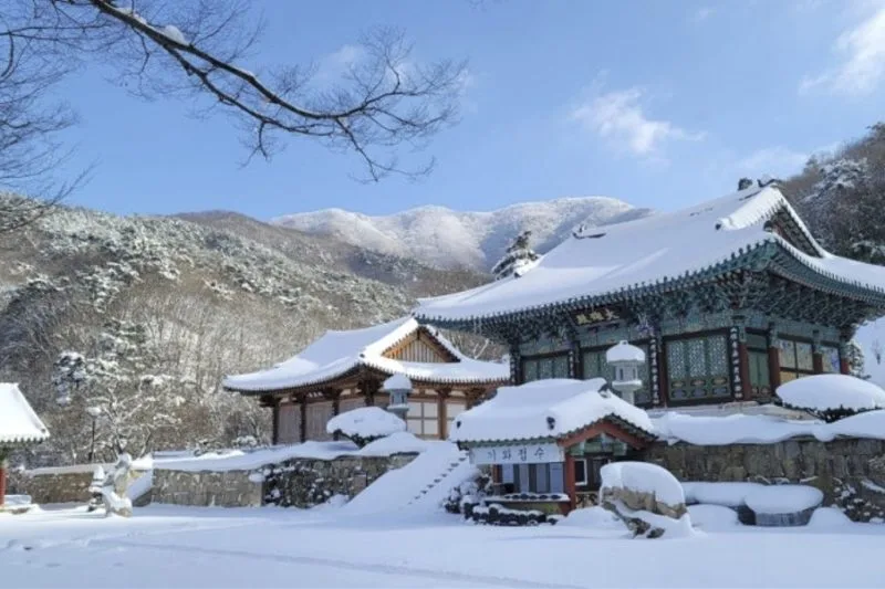 Finding Inner Peace at a Korean Temple Stay [1N2D Real Review]