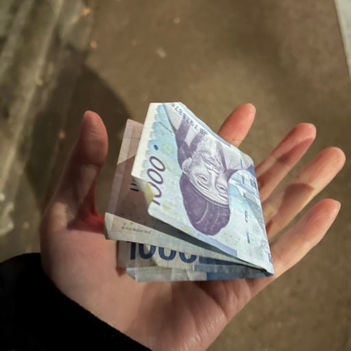 3000WON