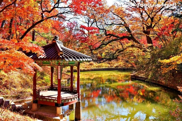 Changdeokgung Palace