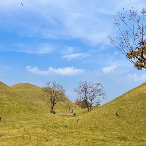 Daereungwon