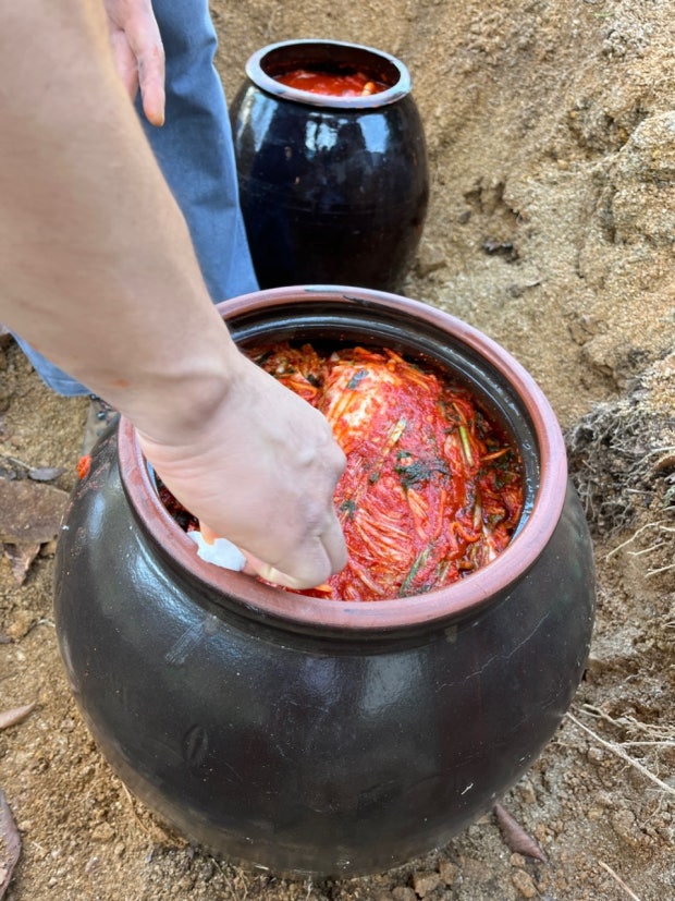 Kimchi Refrigerator