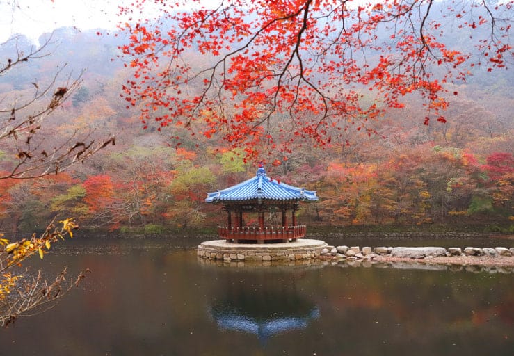 Naejangsan National Park Flat Trail